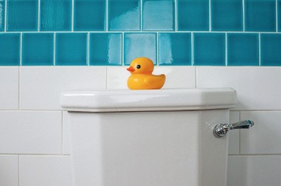Rubber duck on toilet --- Image by © Ian Nolan/Image Source/Corbis