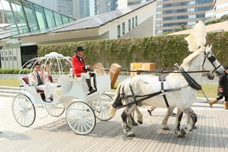 ZCB low carbon wedding_wedding couple on horse carriage