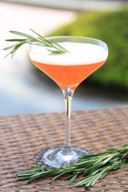 Papi - cocktail - Spring of Thyme