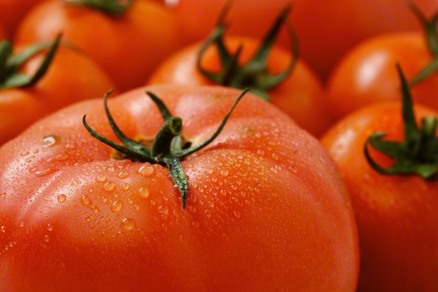 A set of fresh tomatoes